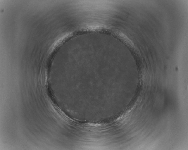 X0000062630640200512211230