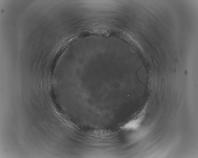 X0000062630641200512211230