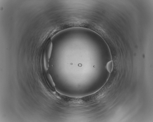 X0000062630642200512211230