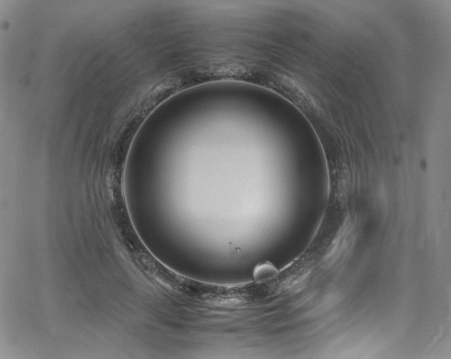 X0000062630643200512211230