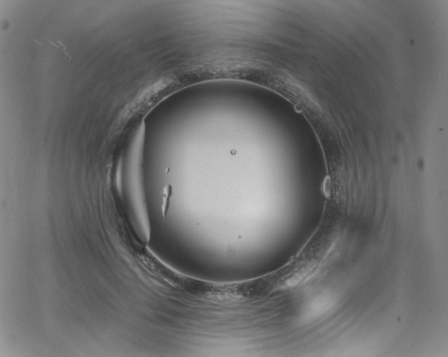 X0000062630644200512211230