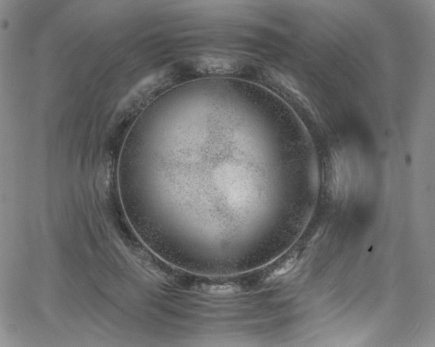 X0000062630645200512211230