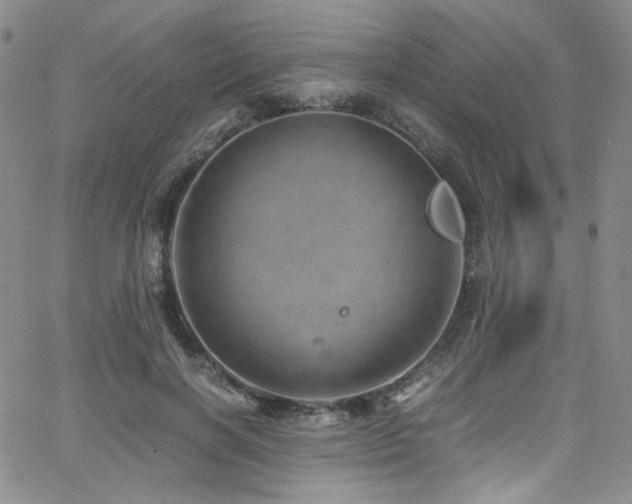 X0000062630646200512211230