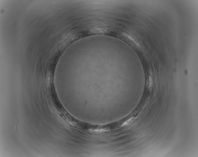 X0000062630647200512211230