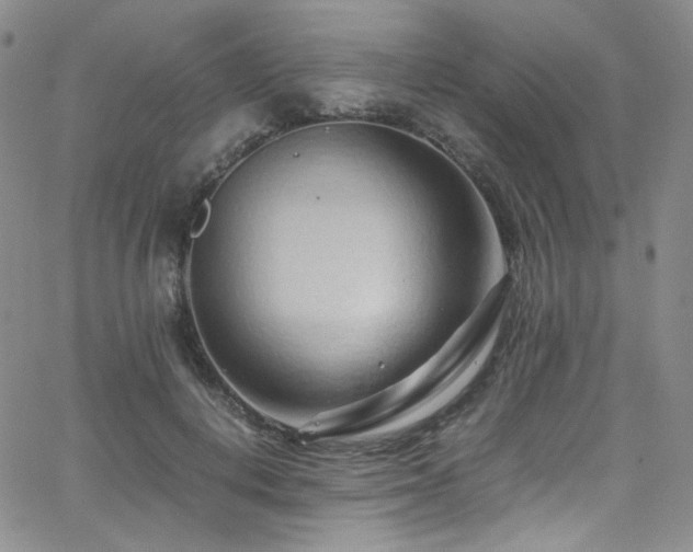 X0000062630648200512211230