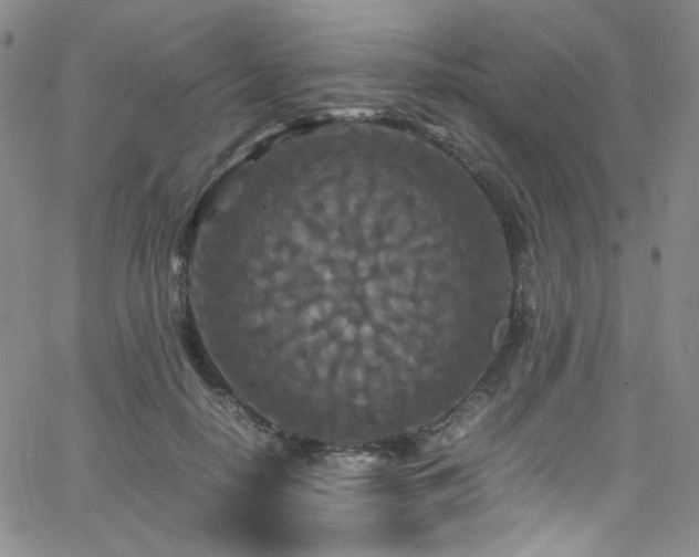 X0000062630650200512211230