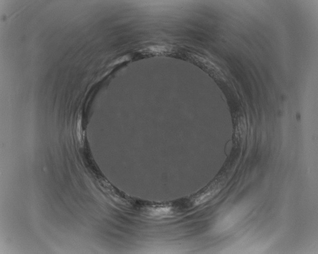 X0000062630651200512211230