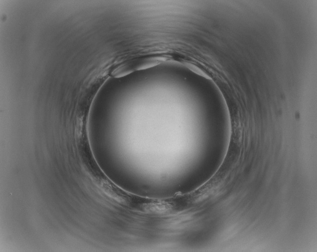 X0000062630652200512211230