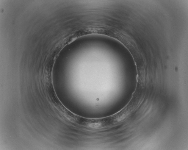 X0000062630653200512211230