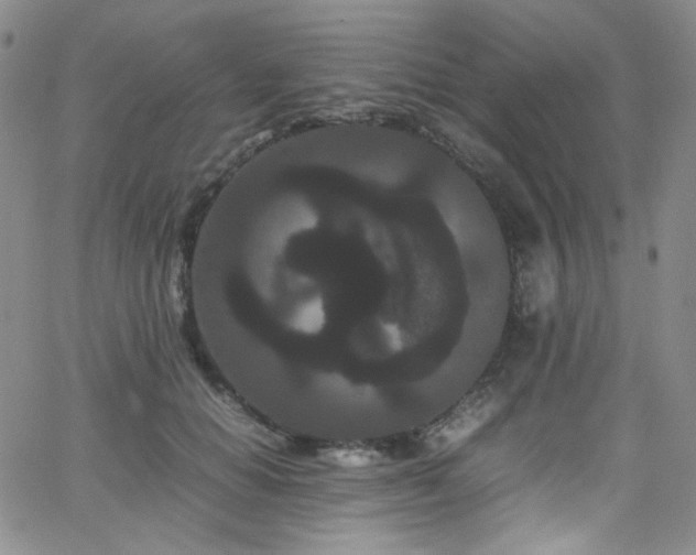 X0000062630654200512211230