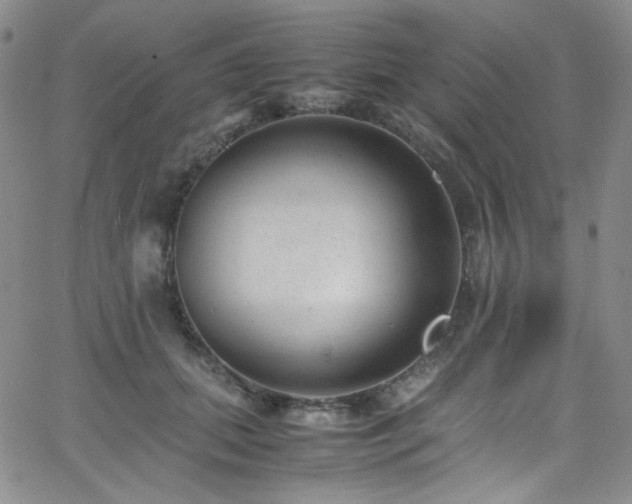 X0000062630655200512211230