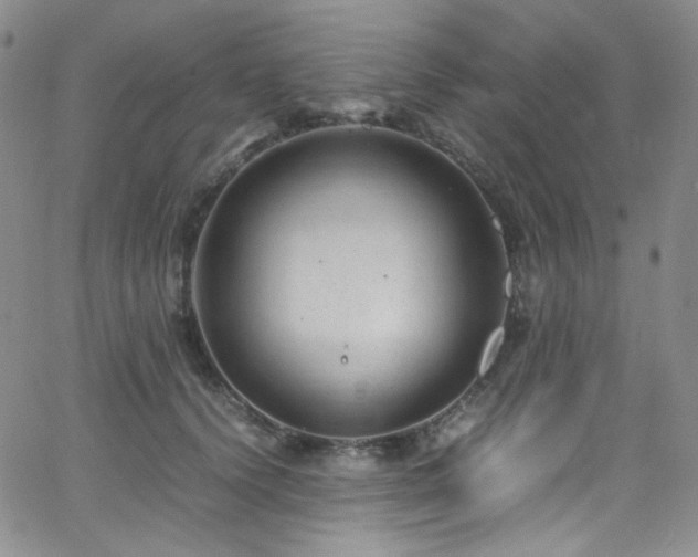 X0000062630656200512211230