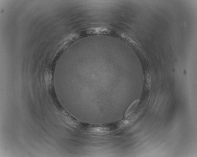 X0000062630657200512211230