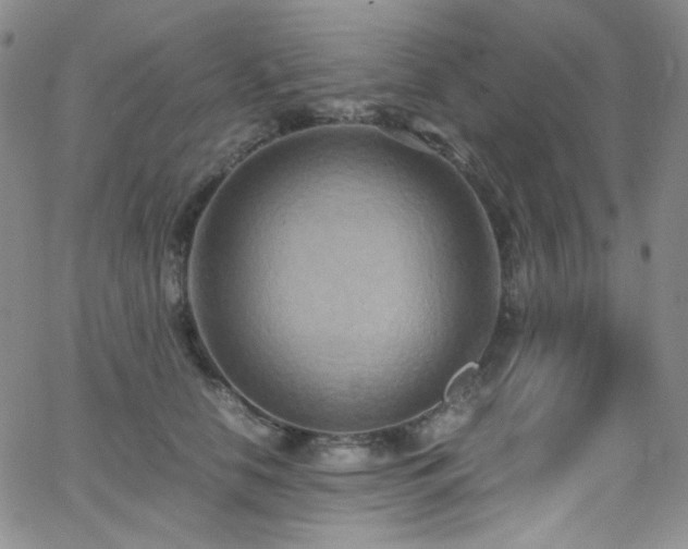 X0000062630658200512211230