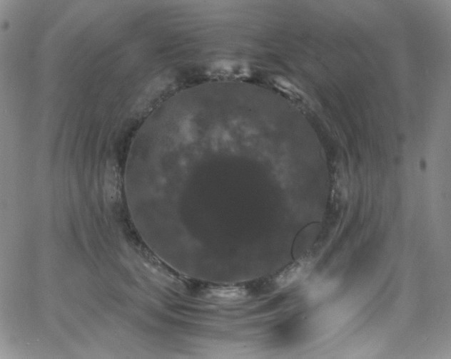 X0000062630659200512211230