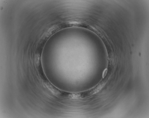 X0000062630660200512211230