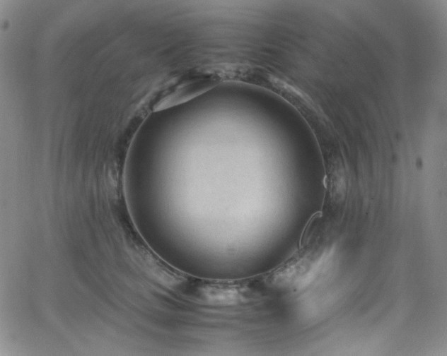 X0000062630661200512211230