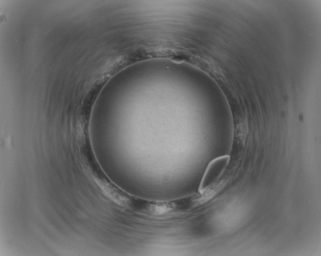 X0000062630662200512211230