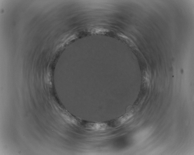 X0000062630663200512211230