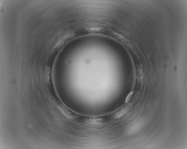 X0000062630664200512211230