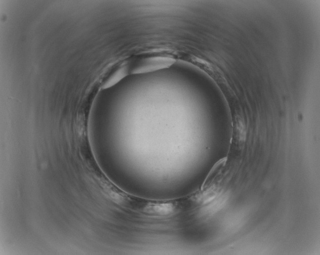 X0000062630665200512211230