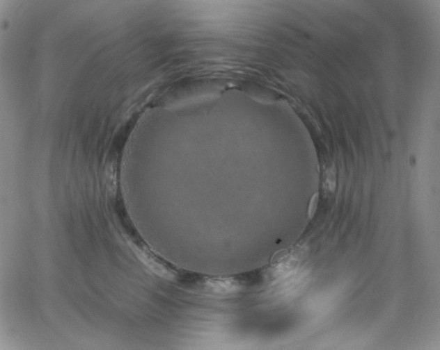 X0000062630666200512211230