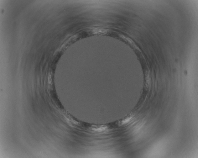 X0000062630667200512211230