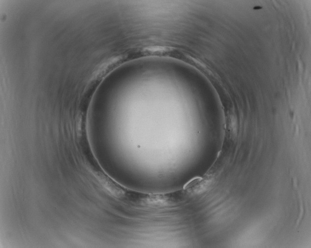 X0000062630668200512211230