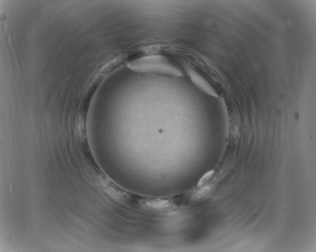 X0000062630669200512211230