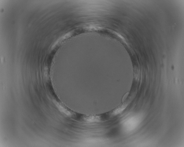 X0000062630670200512211230