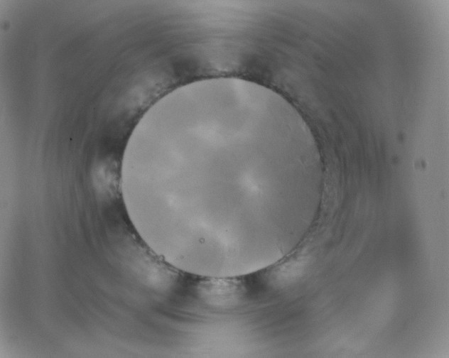 X0000062630672200512211230