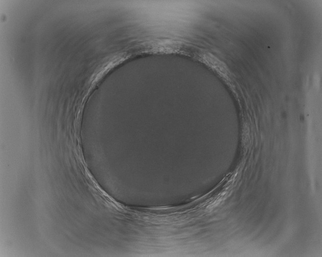 X0000062630673200512211230