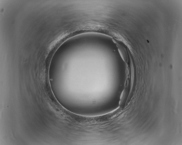 X0000062630675200512211230