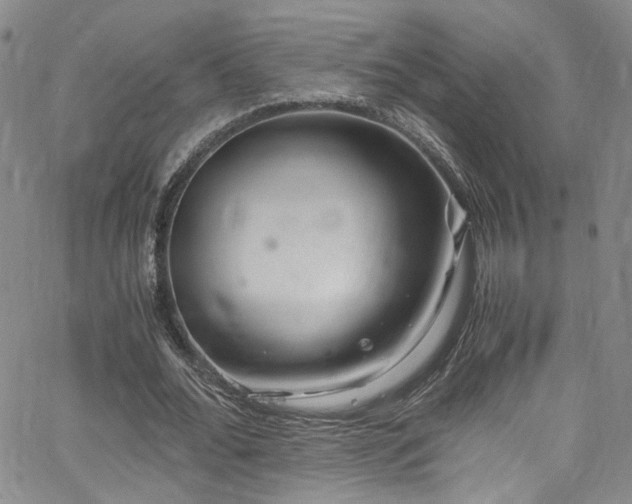 X0000062630676200512211230