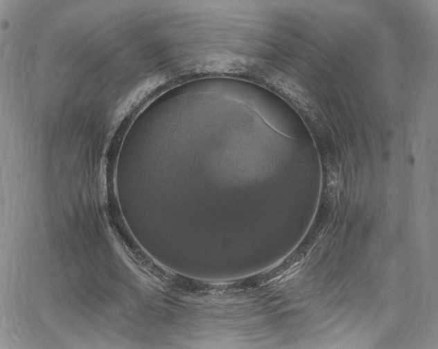 X0000062630678200512211229