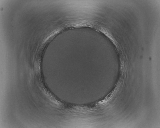 X0000062630681200512211229