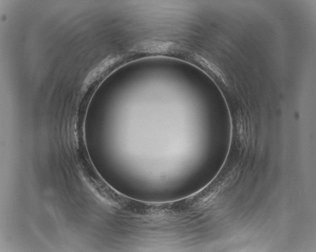 X0000062630682200512211229