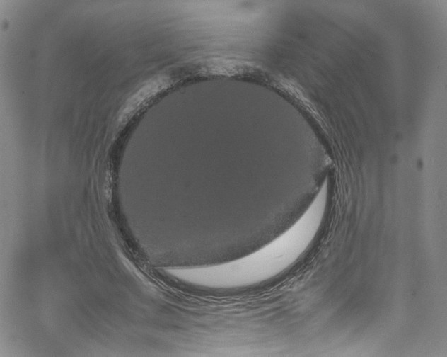 X0000062630683200512211229