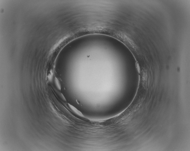 X0000062630684200512211229