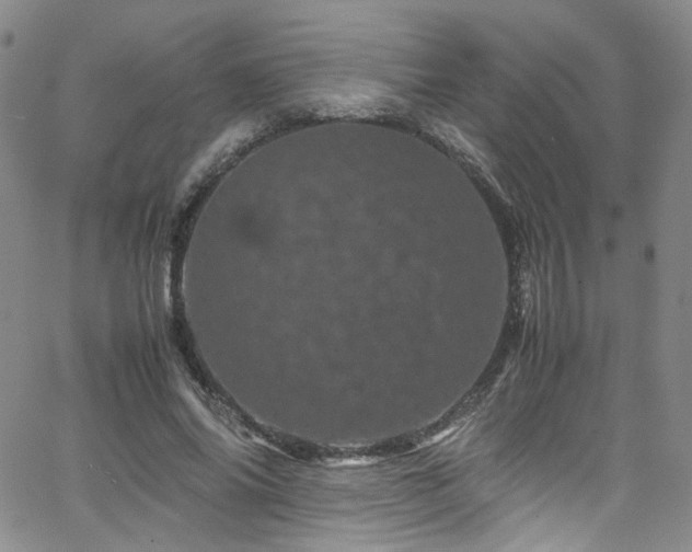 X0000062630686200512211229