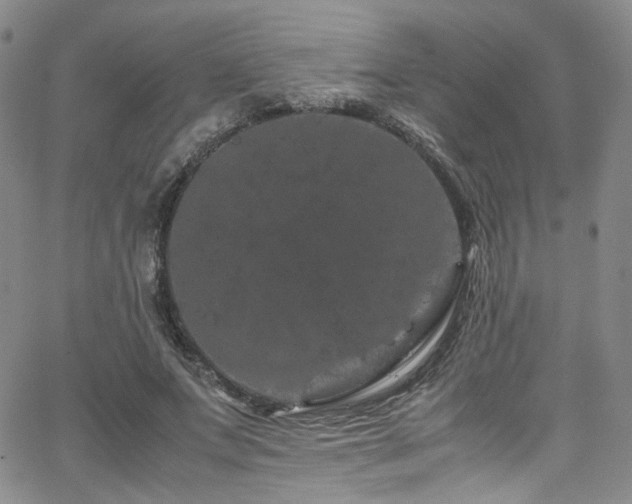 X0000062630687200512211229