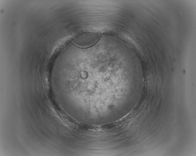 X0000062630688200512211229