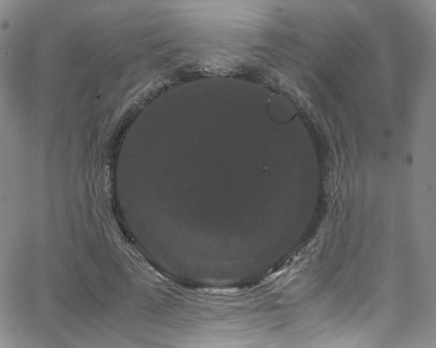 X0000062630689200512211229