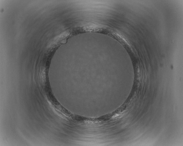 X0000062630690200512211229