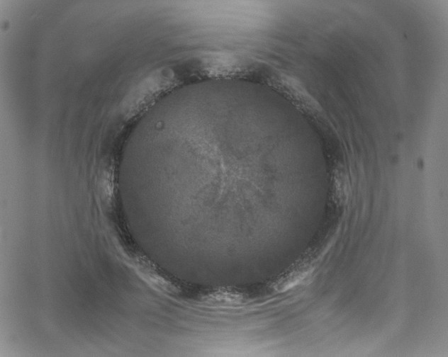 X0000062630691200512211229