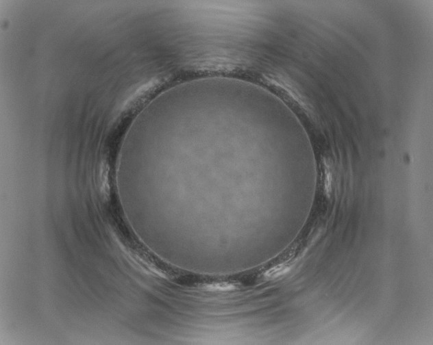 X0000062630692200512211229