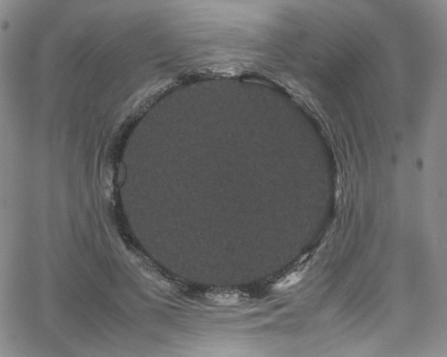 X0000062630693200512211229