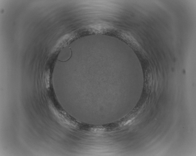 X0000062630694200512211229