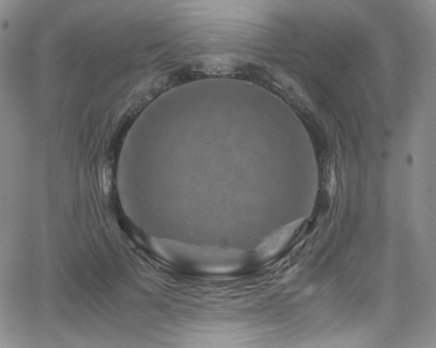 X0000062630697200512211229