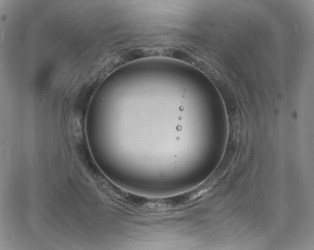 X0000062630699200512211229